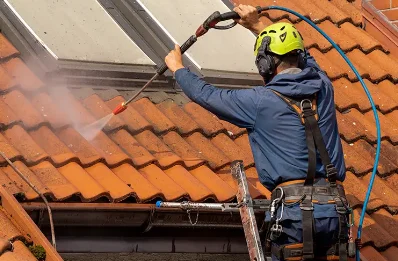 Démoussage et hydrofuge de toiture à Bining